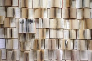 Lire la suite à propos de l’article Autres publications du GEMME